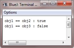 object as parameter in java