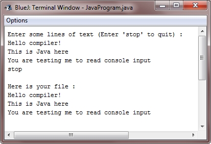 read console input in java